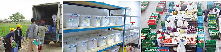 配送中心，食堂配送，食材配送